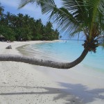 Malediven: Freies Foto eines Strandes auf den Malediven